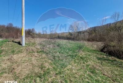 Teren de 2500 mp, în Mărgineni