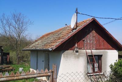 Casă cu 2 camere în Pini - 1