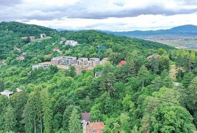 Teren Construcții intravilan de 2700 mp, în Drumul Poienii - 12