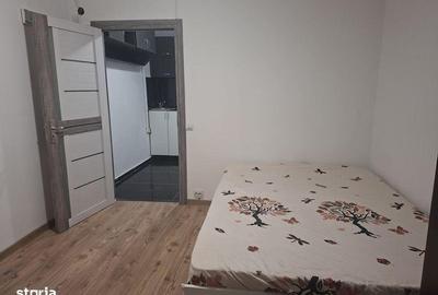 Garsonieră, mobilată în Valea Rosie - 7