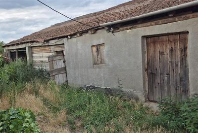Casă individuală cu 4 camere cu Teren 1993 Mp în Cheresig - 7