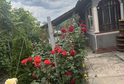 Casă cu 4 camere în Comana
