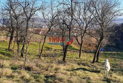 Spațiu comercial, în Central