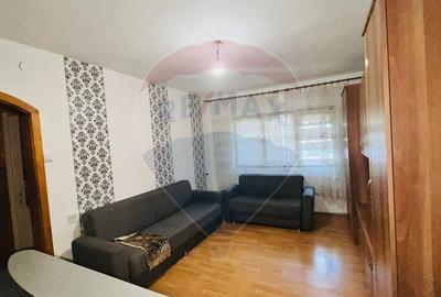 Apartament cu 2 camere semidecomandat, mobilat în Rogerius - 5
