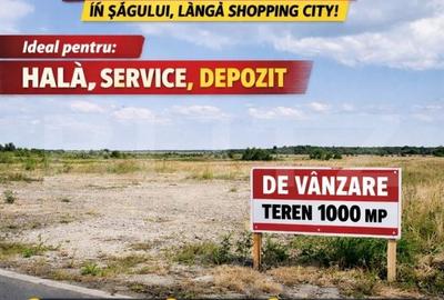 Spațiu comercial, în Șagului