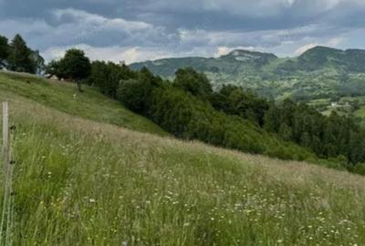 Teren de 8700 mp, în Bran - 8
