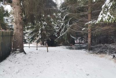 Teren de 1800 mp, în Central
