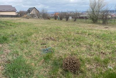 Teren Construcții intravilan de 450 mp, în Miroslava - 7