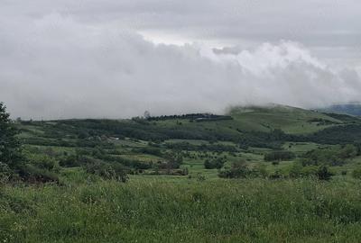 Teren de 3600 mp, în Jugureni - 5
