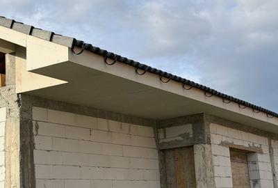 Casă cu 4 camere în Aluniș - 4