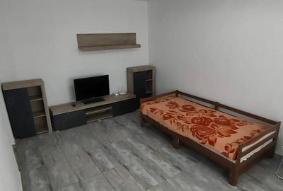 Garsonieră decomandată în Lipovei - 7
