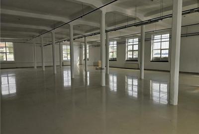 Spațiu industrial, de 3,500 mp, în Nord-Est - 41