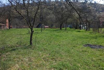 Teren de 2219 mp, în Lăpugiu de Jos - 6