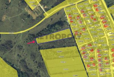 Teren Construcții intravilan de 5000 mp, în Exterior Nord - 5