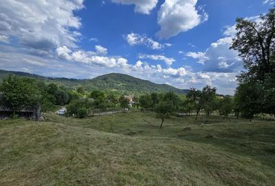 Spațiu comercial, în Uleni - 2