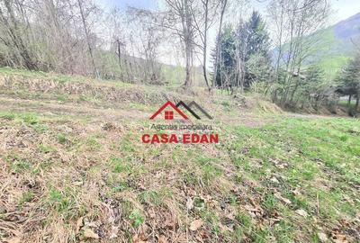 Teren de 1000 mp, în Teșila - 16