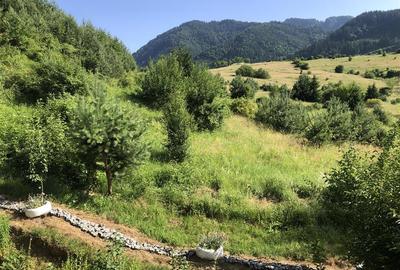 Apartament cu 2 camere decomandat, mobilat în Cernatu - 17