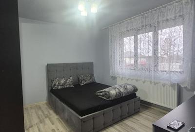 Casă cu 3 camere cu Teren 700 Mp în Săcălășeni - 9