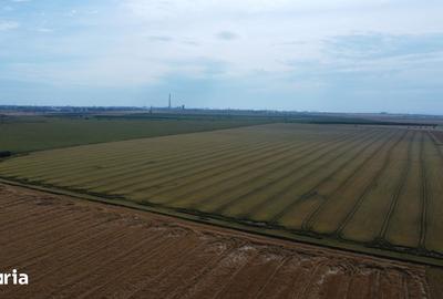 Teren de 47300 mp, în Cumpăna - 4
