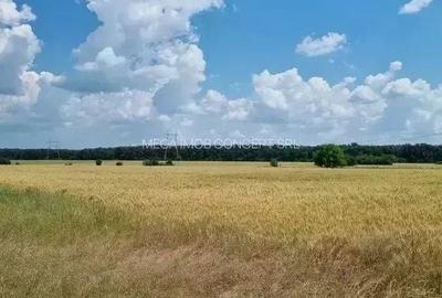 Teren de 428.99 mp, în Brănești - 2