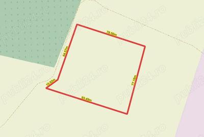 Teren de 6350 mp, în Silistraru - 5