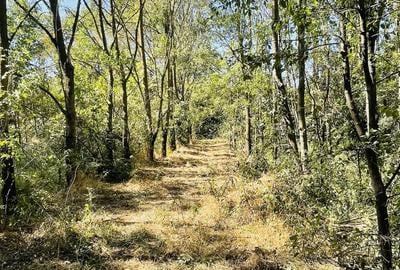 Teren de 5000 mp, în Valea Părului - 3