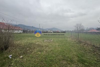 Teren Construcții intravilan de 1200 mp, în Vădurele (Alexandru cel Bun) - 5