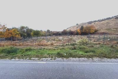 Teren Construcții intravilan de 1555 mp, în Exterior Sud