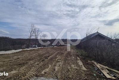 Teren de 1500 mp, în Albota - 2