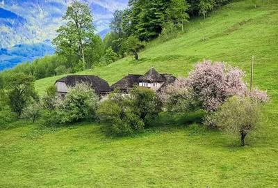 Teren de 1000 mp, în Șirnea - 4
