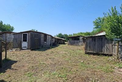 Casă cu Teren 1850 Mp în Colceag - 2