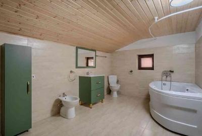 Casă individuală cu 4 camere cu Teren 377 Mp în Jilava - 3