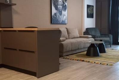 Apartament cu 2 camere semidecomandat în Nord - 8