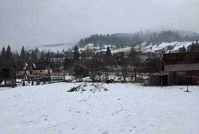 Teren de 5808 mp, în Valea Putnei - 8