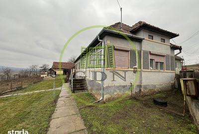 Casă cu 3 camere cu Teren 2500 Mp în Cetatea de Baltă - 17