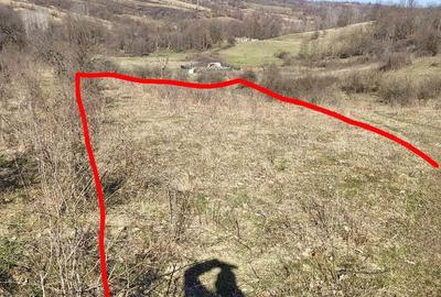 Teren de 1000 mp, în Central