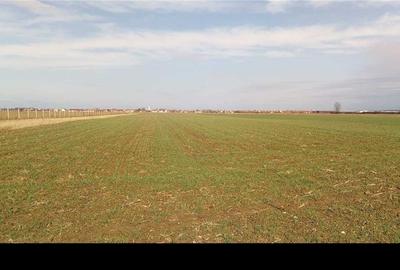 Teren de 2600 mp, în Sântion