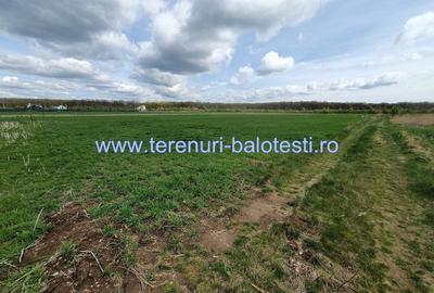 Teren Construcții intravilan de 800 mp, în Dumbrăveni - 6
