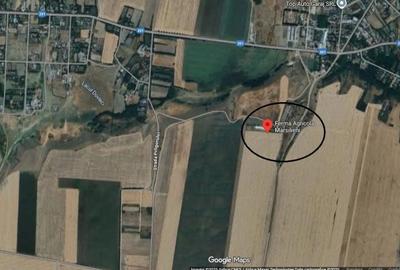 Spațiu industrial, de 800 mp, în Albești - 7
