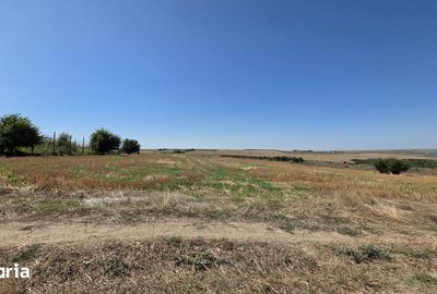 Teren de 5000 mp, în Bărăganu