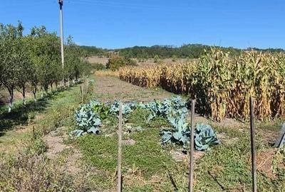 Casă cu 4 camere în Fundătura