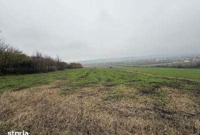 Teren de 2200 mp, în Șimnicu de Sus