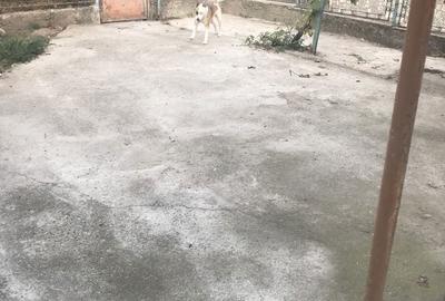 Casă cu 1 camere cu Teren 100 Mp în Central - 1