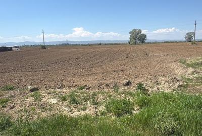 Teren intravilan de 1000 mp, în Buhoci - 4
