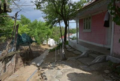 Casă cu Teren 1750 Mp în Costache Negri
