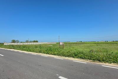 Teren Construcții extravilan de 2000 mp, în Movilița - 2