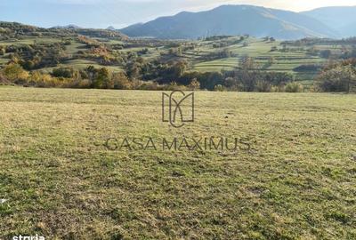Spațiu comercial, în Gura Râului - 3
