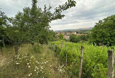 Casă individuală cu 4 camere cu Teren 7567 Mp în Central - 12