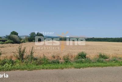 Teren de 10400 mp, în Bălteni