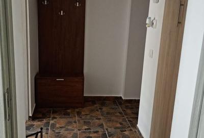 Apartament cu 2 camere semidecomandat în Pantelimon - 4
